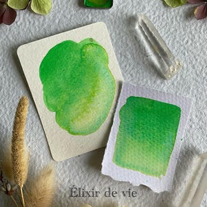 Peut inclure: Composition de nature morte avec des échantillons de peinture à l'aquarelle verte. L'image comprend un petit godet de peinture carré, deux cristaux de quartz clairs, des fleurs séchées et le texte "Élixir de vie".