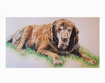 Dog Portrait Custom Watercolor Quality Photo-realism Unique Gift Custom Sizes Pet Painting