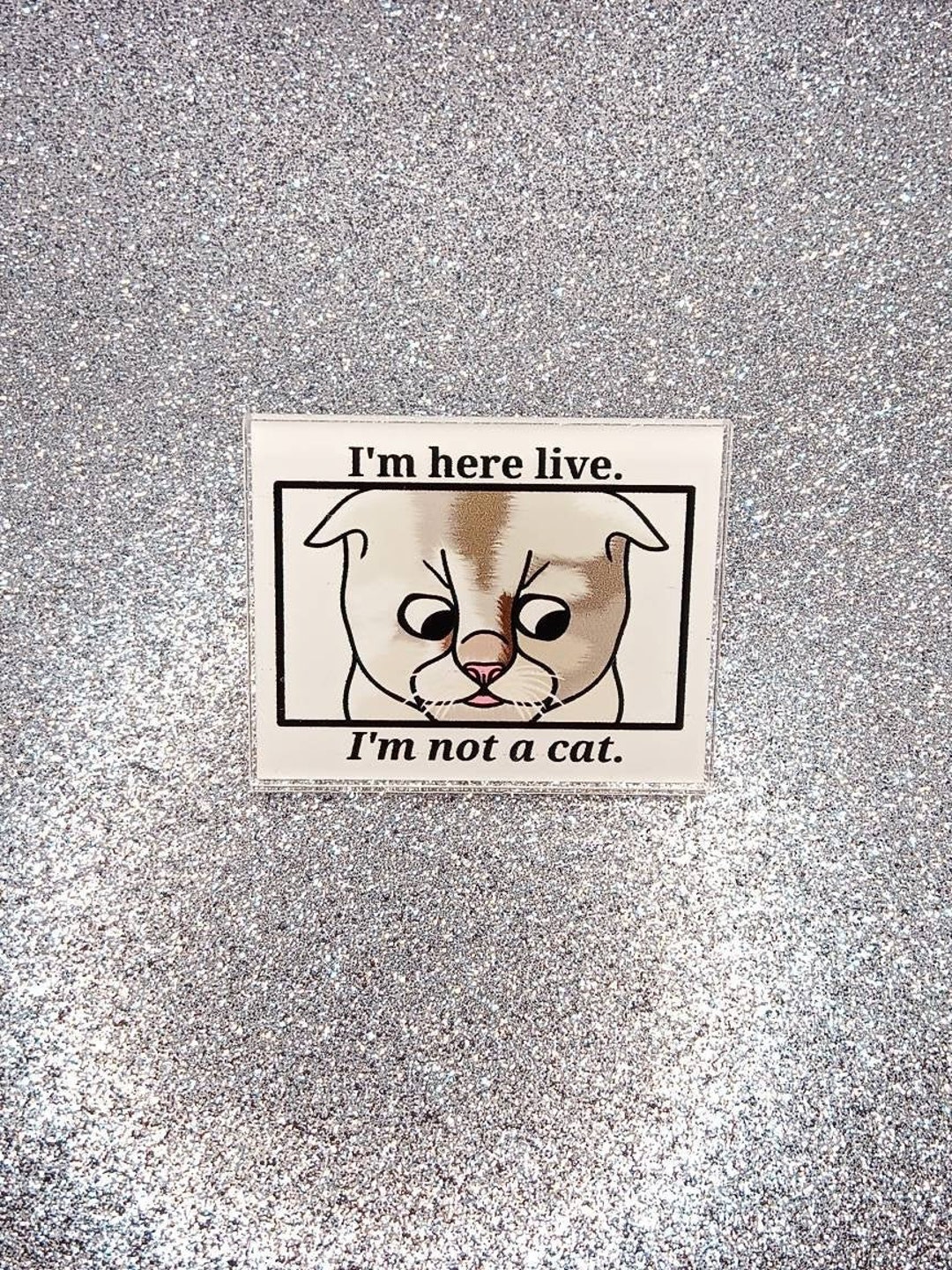 Zoom Cat Meme Pin - Etsy
