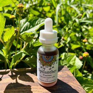 Spilanthes Tincture