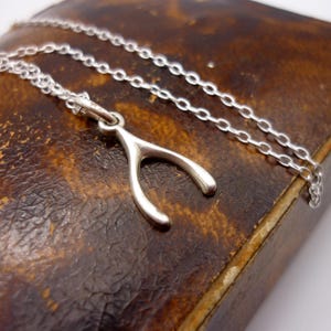 Vintage zilveren wishbone-bedelketting