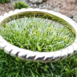 Bague en argent plaqué or Thomas Sabo avec motif torsadé, style corde tressée, bijoux à empiler simples, taille classique 7, O, fiançailles mode