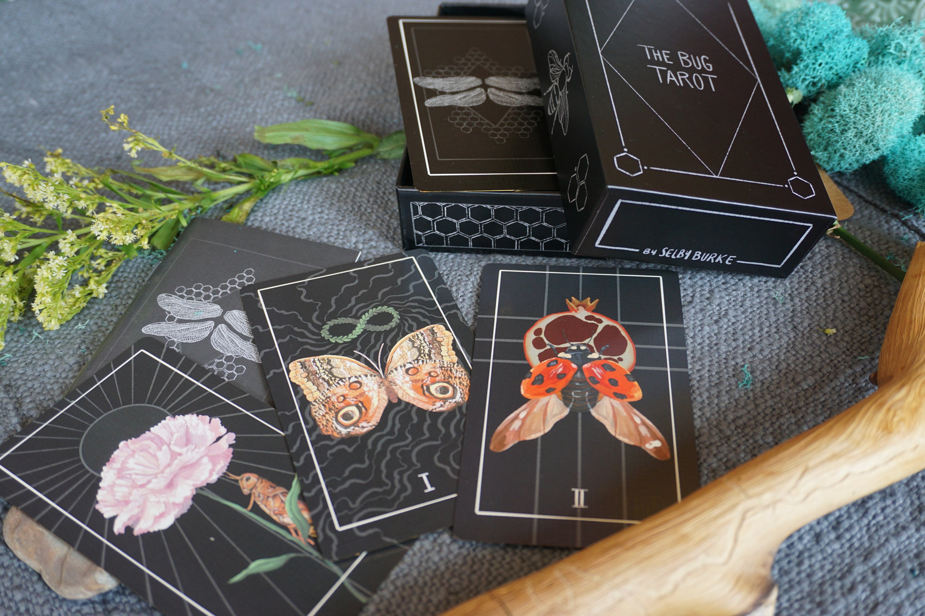 The Bug Tarot - Etsy