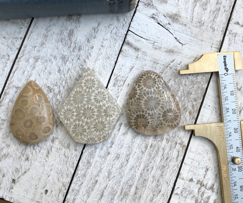 3 Pcs Natural Fossil Coral Cabochons Handmade Polished Fossilized Coral Jewelry Making Gemstone Lot Crystal Cabochon Stone Cabochon