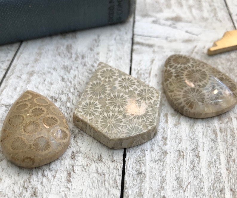 3 Pcs Natural Fossil Coral Cabochons Handmade Polished Fossilized Coral Jewelry Making Gemstone Lot Crystal Cabochon Stone Cabochon