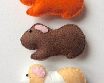 Three Guinea Pig Fridge Magnets