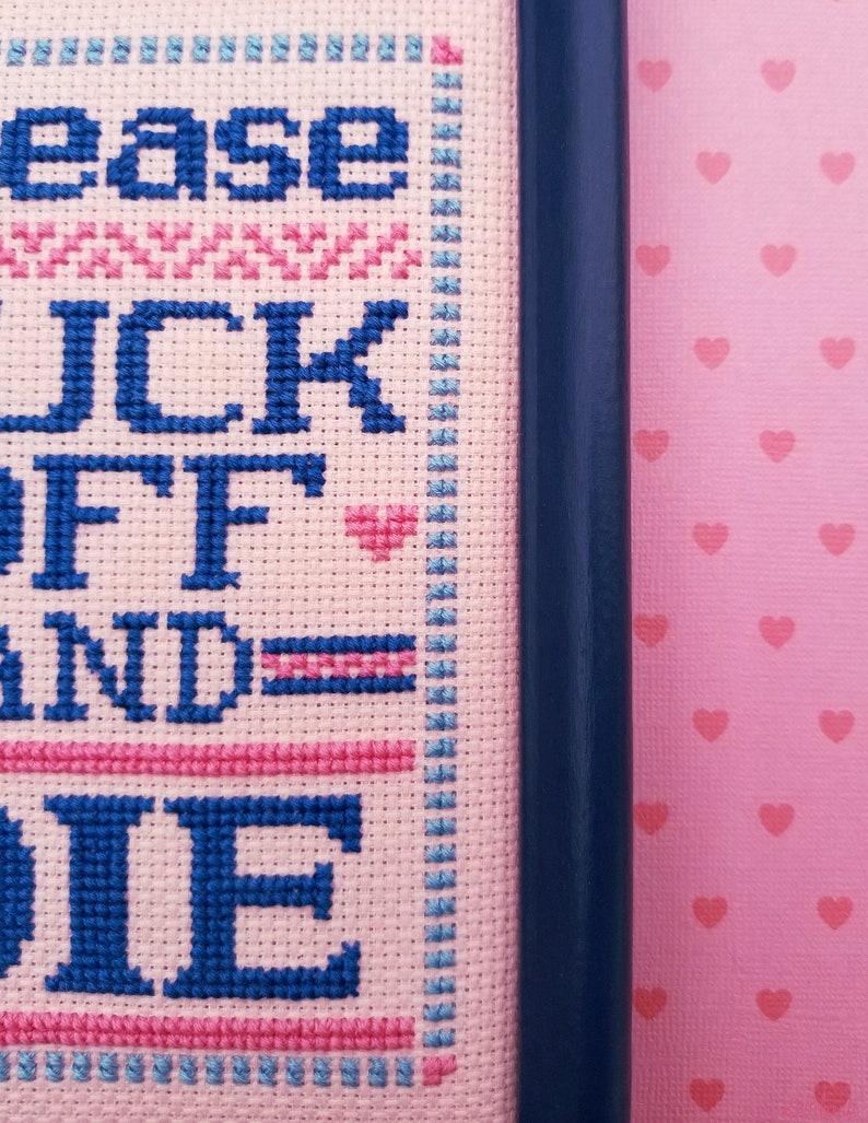 Framed ready to ship please fuck off and die cross stitch