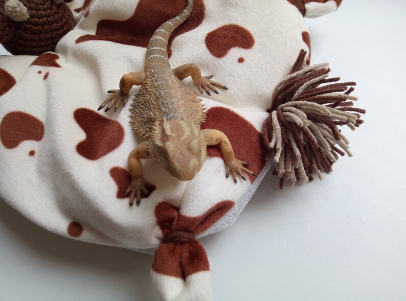 Reptiles plush bed / Lizards Plush cow bed bearded dragon | Etsy