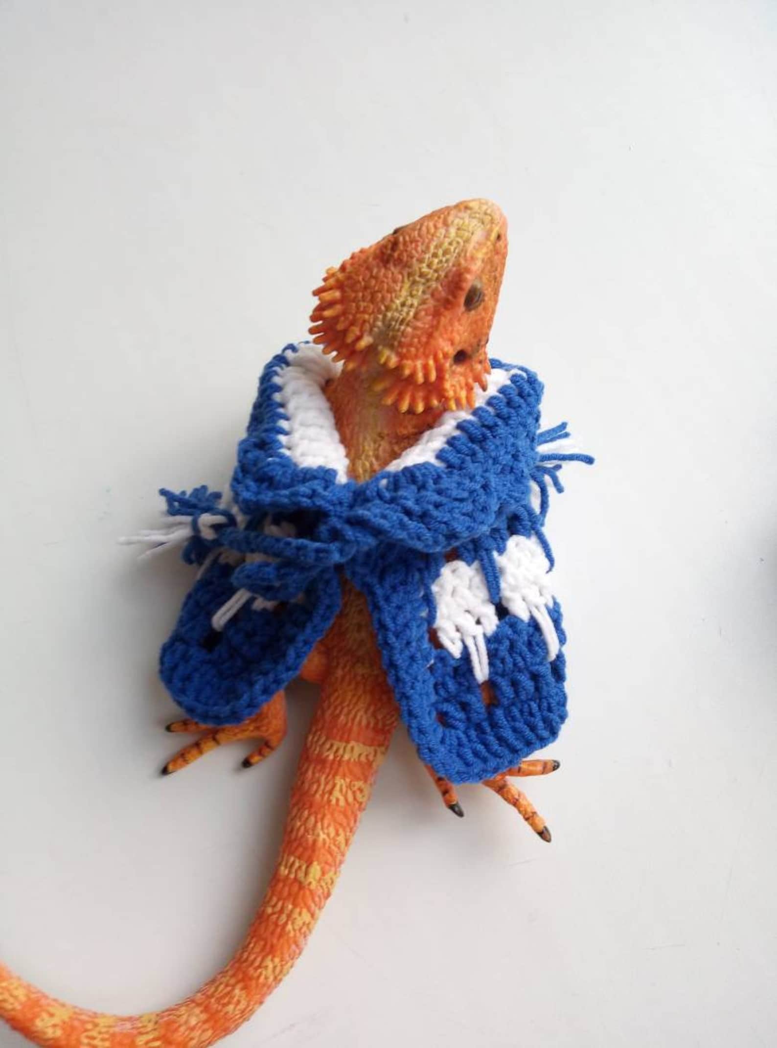 Bearded Dragon Sweater and Pom Pom Hat Green / White Etsy