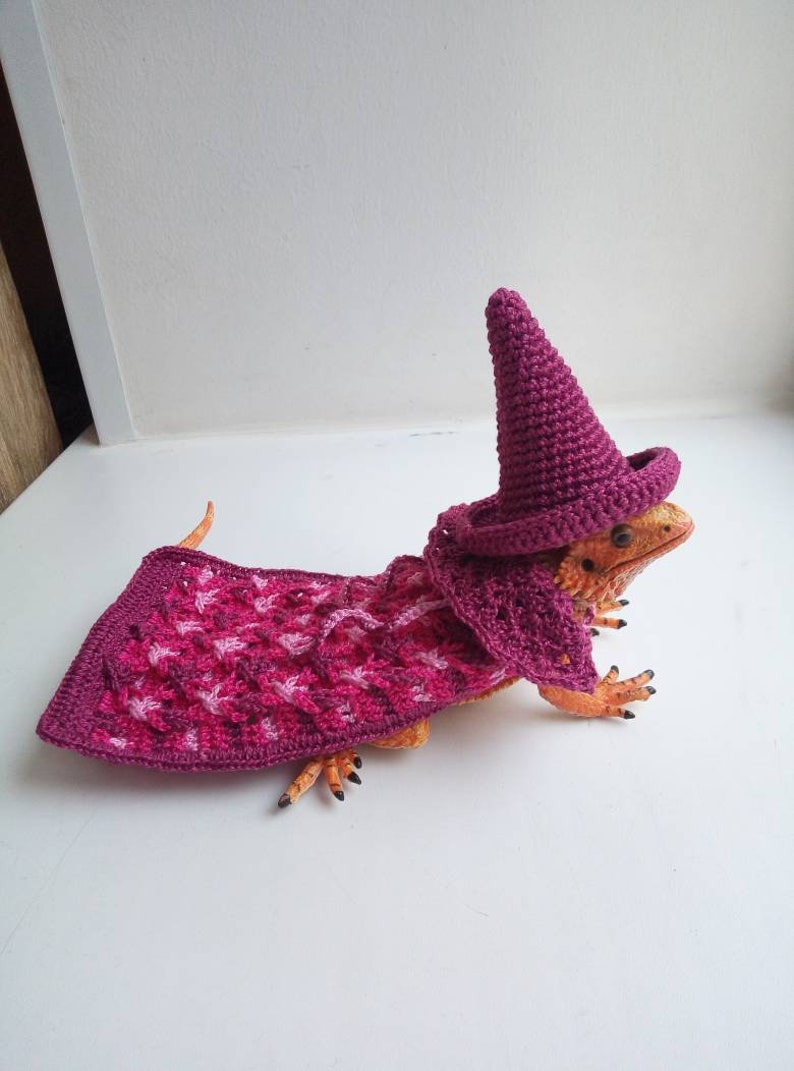 Pink Bearded Dragon Sweater Bearded Dragon Clothing Bearded | Etsy