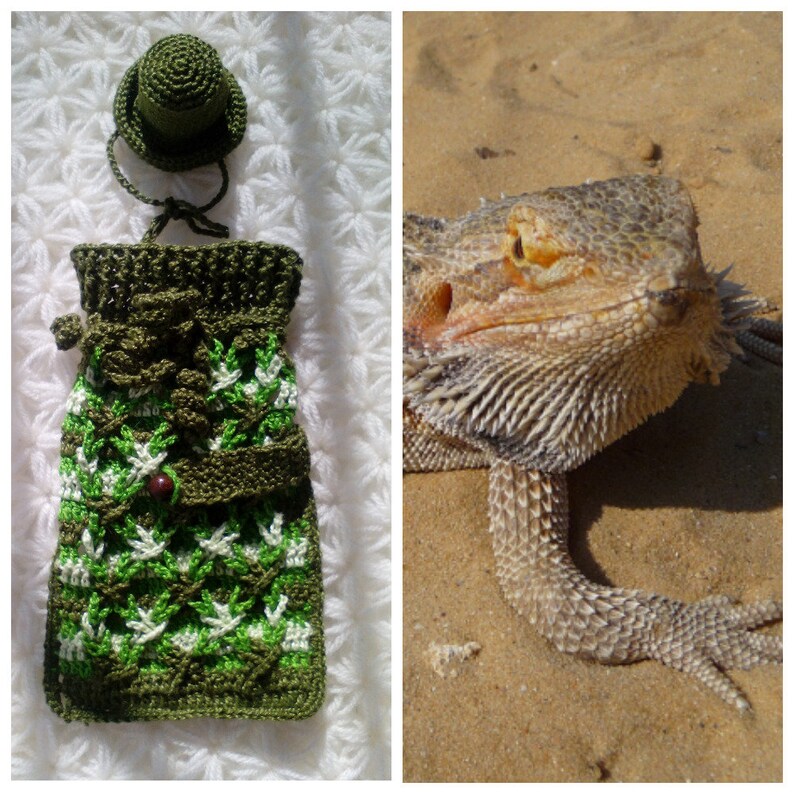 Pink Bearded Dragon sweater Bearded dragon clothes Bearded | Etsy