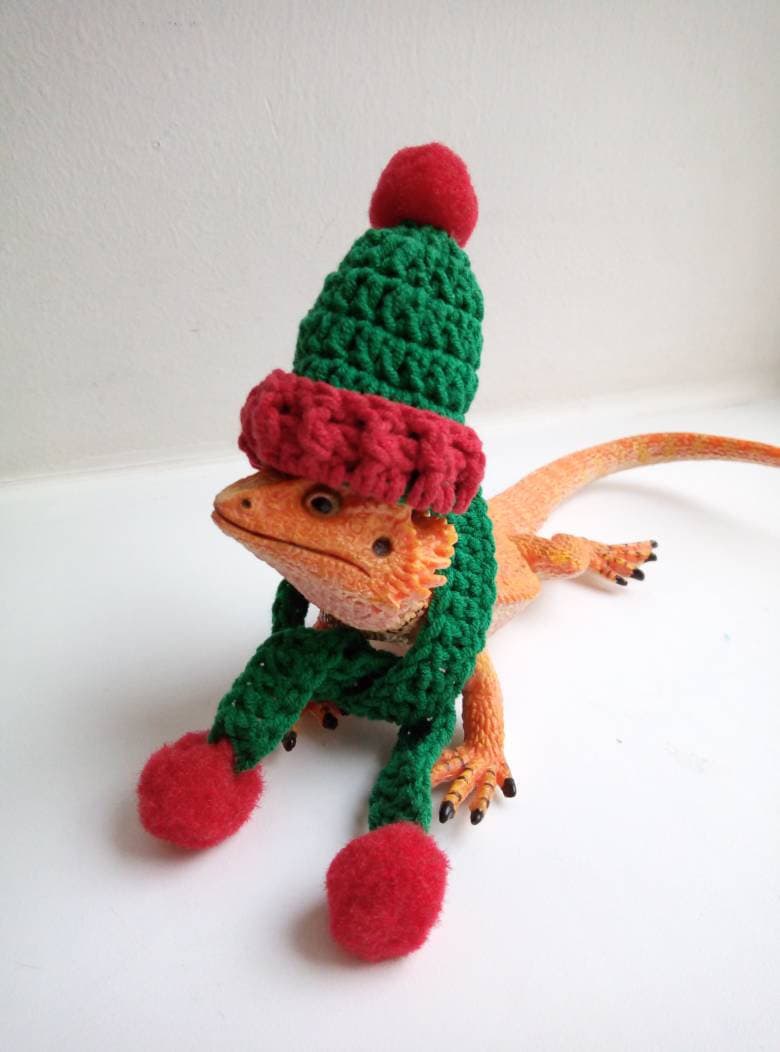 Bearded Dragon Christmas Costume 