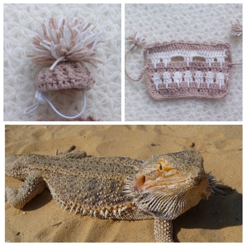 Crocheted bearded dragon sweater and pom pom hat Warm beardie | Etsy