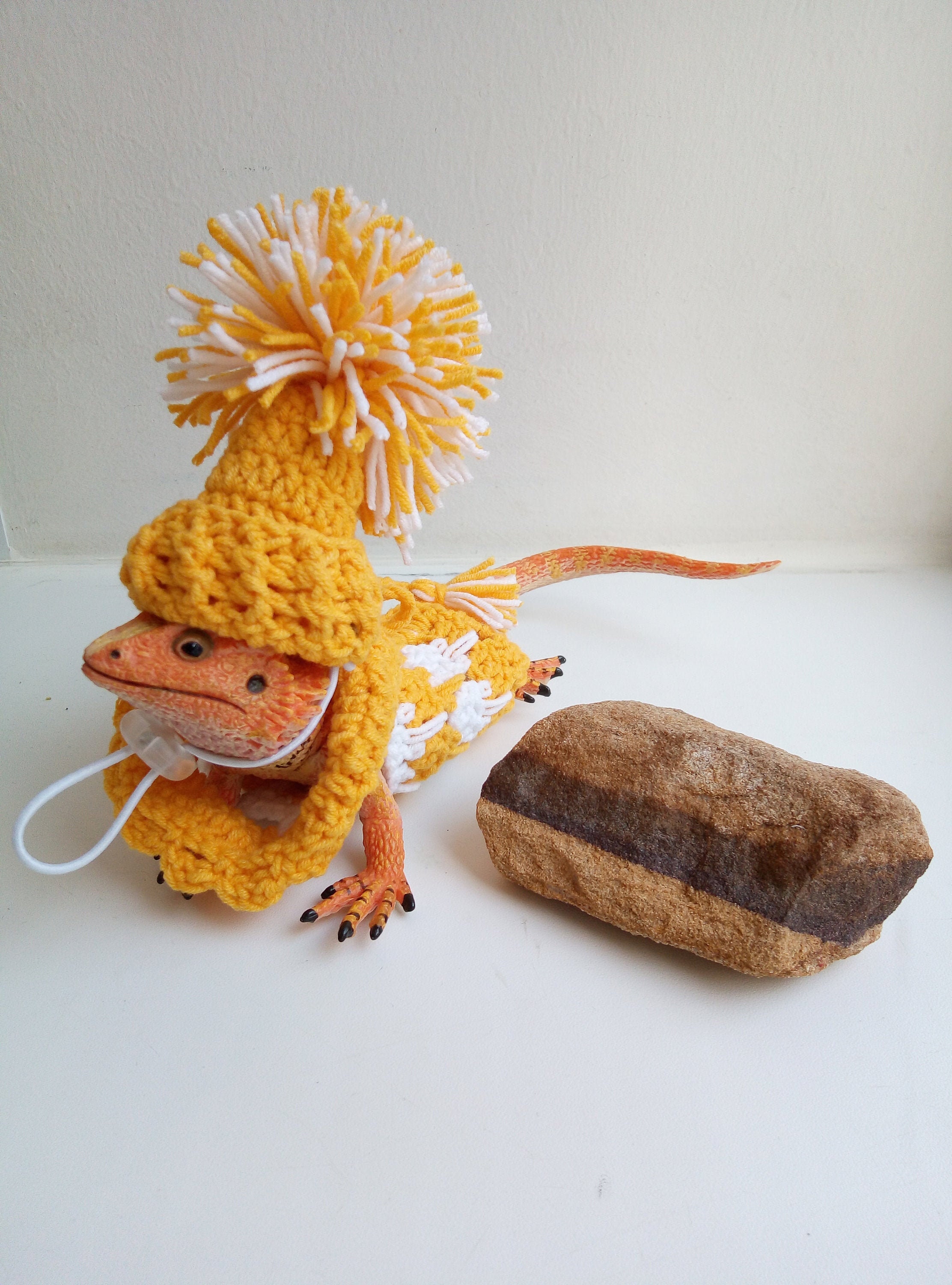 Bearded Dragon Sweater Handmade dragon clothing Lizard Etsy