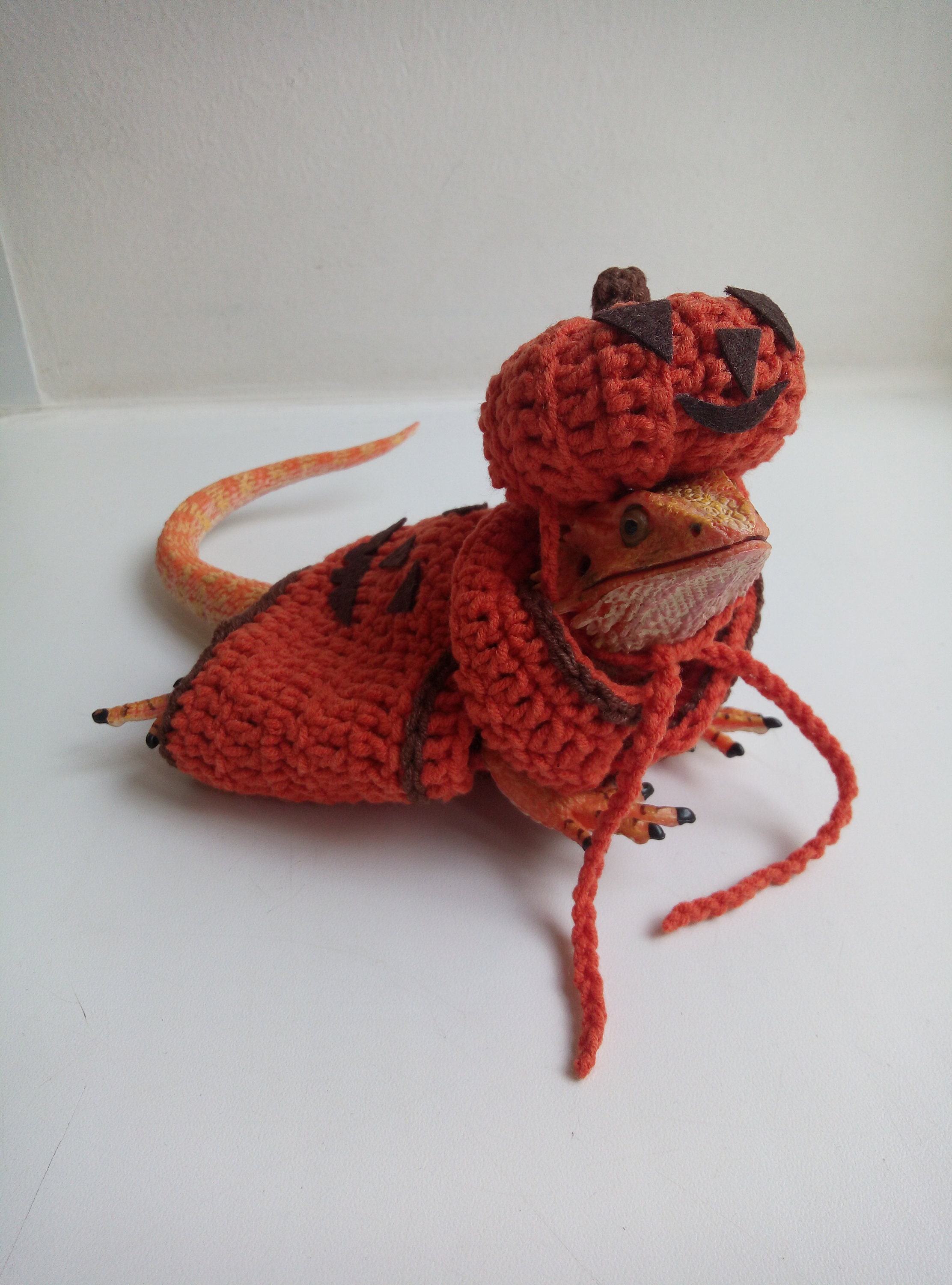 Halloween bearded dragon costume pumpkin bearded dragon Etsy