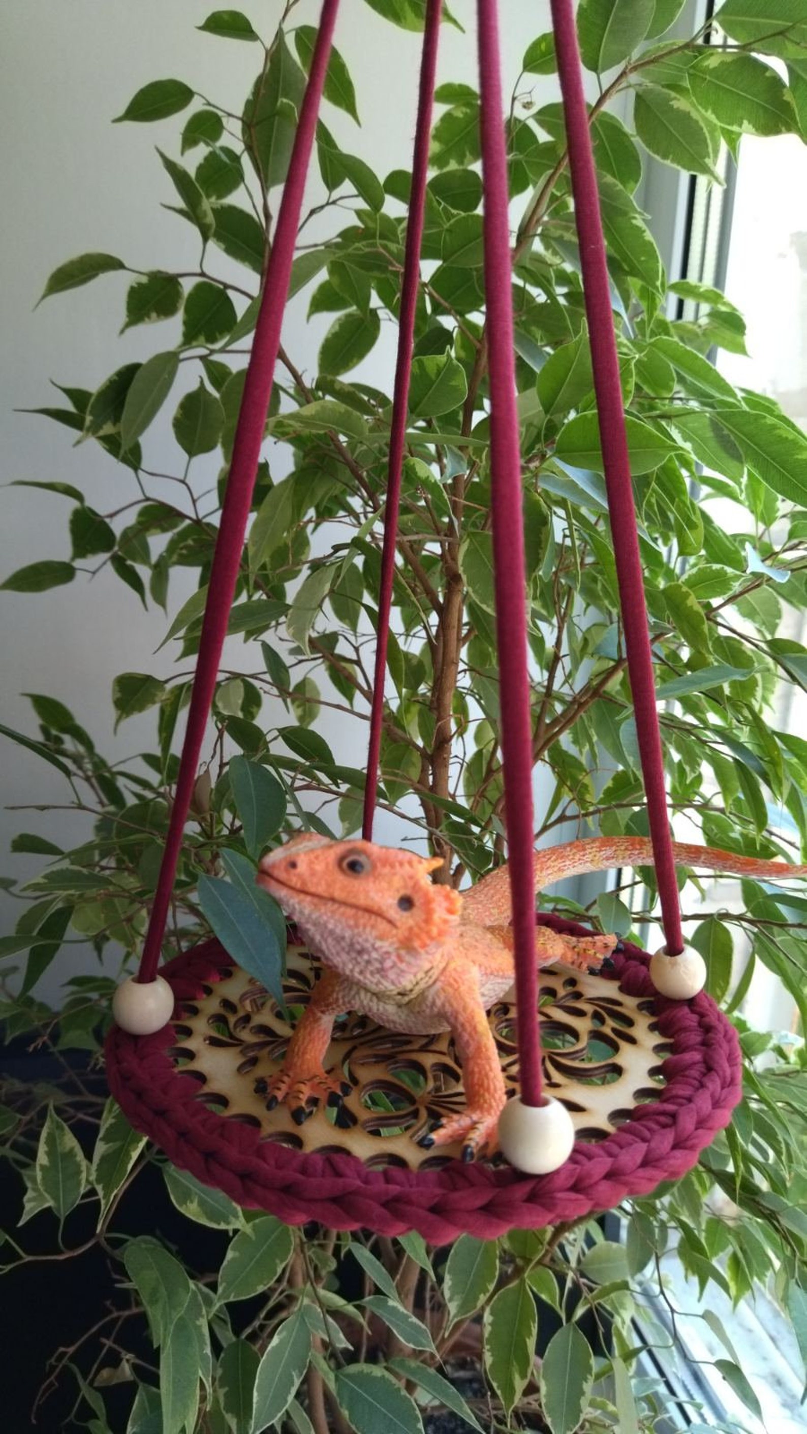 Beardie hammock bearded dragon swing gecko swing pet toys Etsy