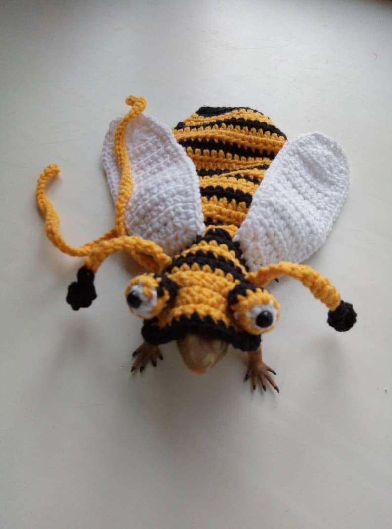 Bee bearded dragon costume bee rat costume Bee guinea pig image 5