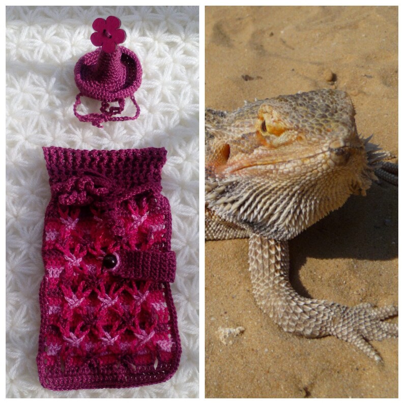 Pink Bearded Dragon sweater Bearded dragon clothes Bearded Etsy