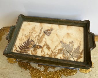 Antique 1920s Butterfly Taxidermy Tray – Pressed Botanical Dried Flower Collage Under Glass – Art Deco Metal Framed Vanity Board, Cottagecor