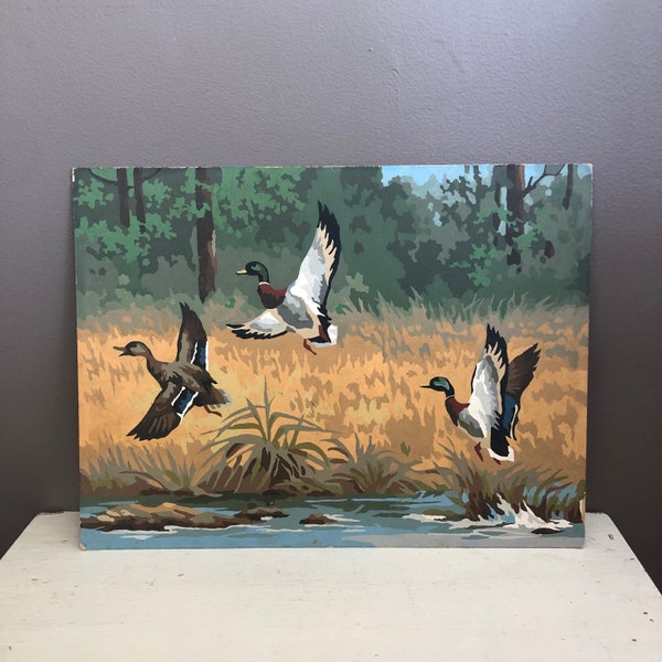Paint by Number Ducks Etsy
