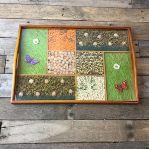 May include: A wooden tray with nine compartments, each filled with different dried flowers and butterflies. The tray is made of wood and has a clear glass top.