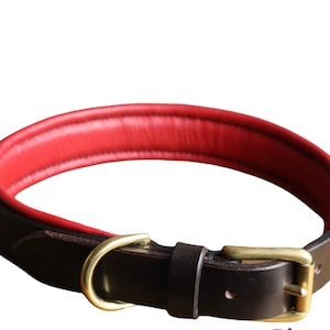 Padded leather dog collar, custom dog collar, leather collar for strong dog