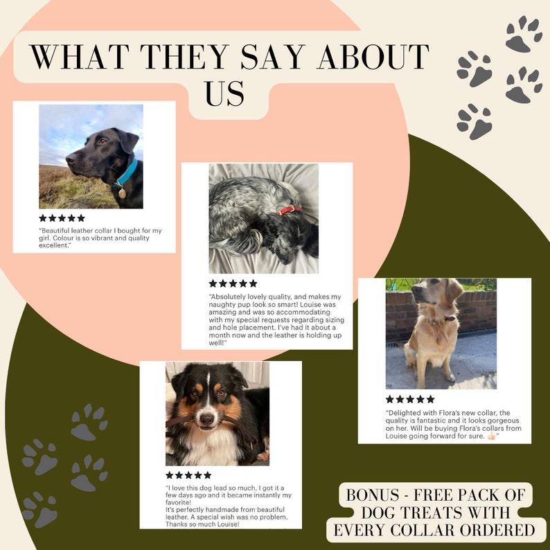 May include: A collage of images featuring customer reviews for dog collars and leashes. The reviews highlight the quality of the products and the excellent customer service. The text includes the phrase "Bonus - Free Pack of Dog Treats with Every Collar Ordered".