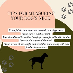 May include: A graphic with a pink and green background with paw prints. The text reads "Tips for Measuring Your Dog's Neck". The text below the title reads "Use a fabric tape measure around your dog's neck. Make sure it's not too tight. You should be able to slide two fingers comfortably side by side between the tape and the neck. Make a note of the length and send this to me along with any further instructions."