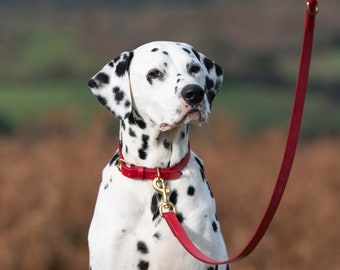 Personalized Red Leather Dog Collar, Hand-Stitched Bridle Leather