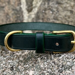 May include: A dark green leather dog collar with brass hardware. The collar is made of high-quality leather and has a sturdy buckle.