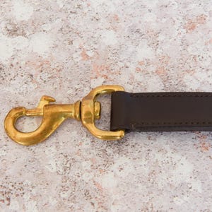 May include: A brown leather strap with a gold metal hook. The hook is attached to the strap with a metal loop.