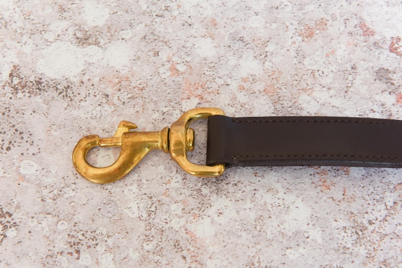 May include: A brown leather strap with a gold metal hook. The hook is attached to the strap with a metal loop.