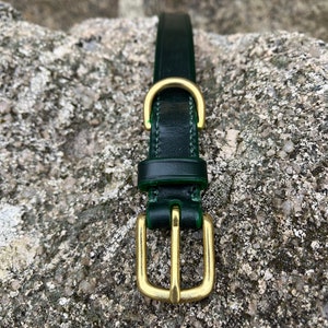 May include: A dark green leather dog collar with a brass buckle.