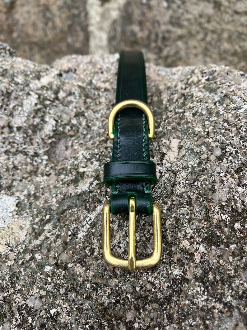 May include: A dark green leather dog collar with a brass buckle.