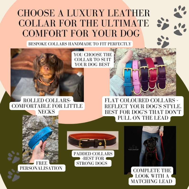 Orange Leather Dog Collar// Custom Leather Dog Collar, Puppy Collar image 6