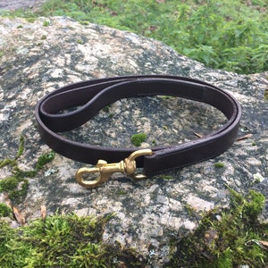 May include: A brown leather dog leash with a gold metal clasp. The leash is lying on a rock covered in moss.