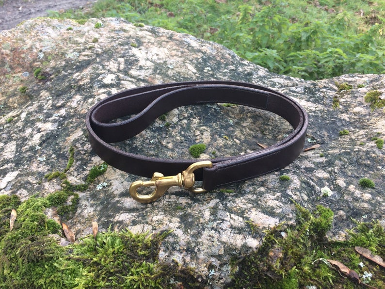 May include: A brown leather dog leash with a gold metal clasp. The leash is lying on a rock covered in moss.