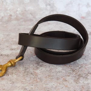 May include: A brown leather leash with a gold metal clasp. The leash is coiled and ready to be used.