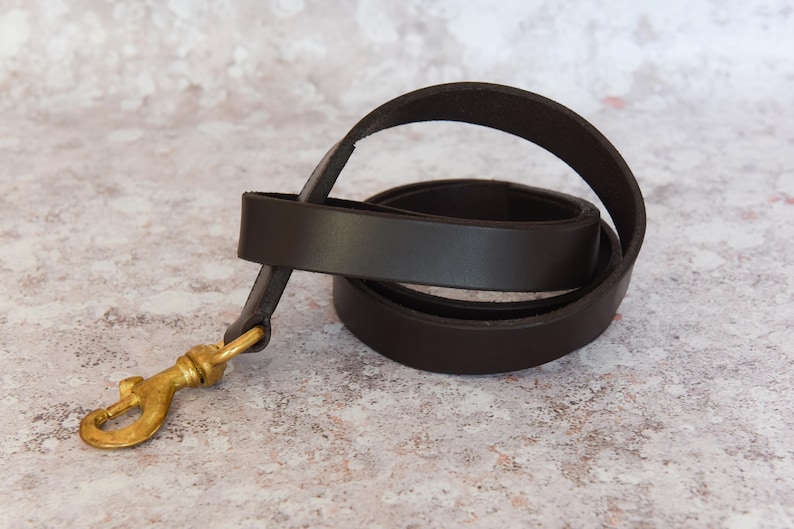 May include: A brown leather leash with a gold metal clasp. The leash is coiled and ready to be used.