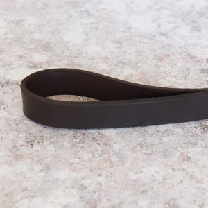 May include: Close-up of a dark brown leather dog leash with a loop handle.