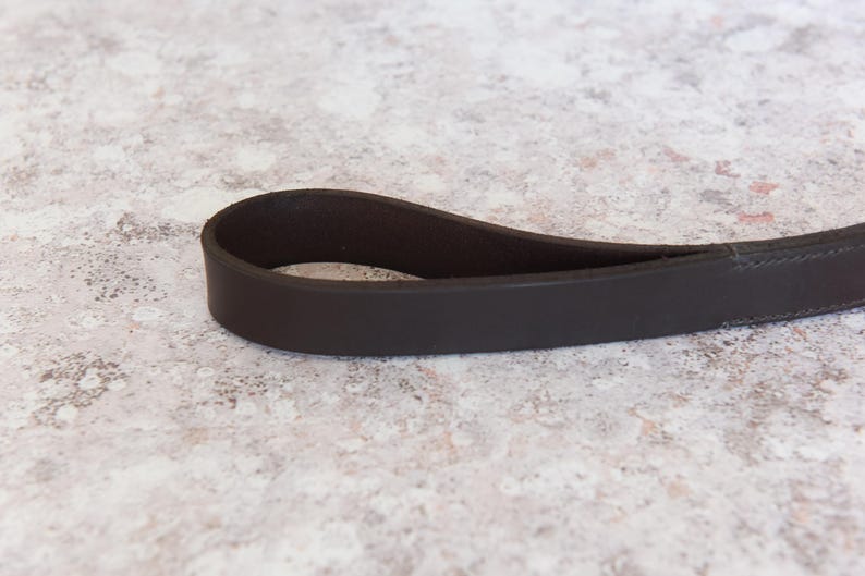 May include: Close-up of a dark brown leather dog leash with a loop handle.