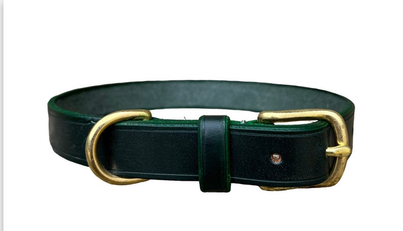 May include: A dark green leather dog collar with a brass buckle and D-ring.