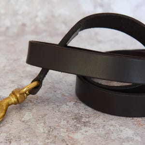May include: A brown leather dog leash with a brass hook.