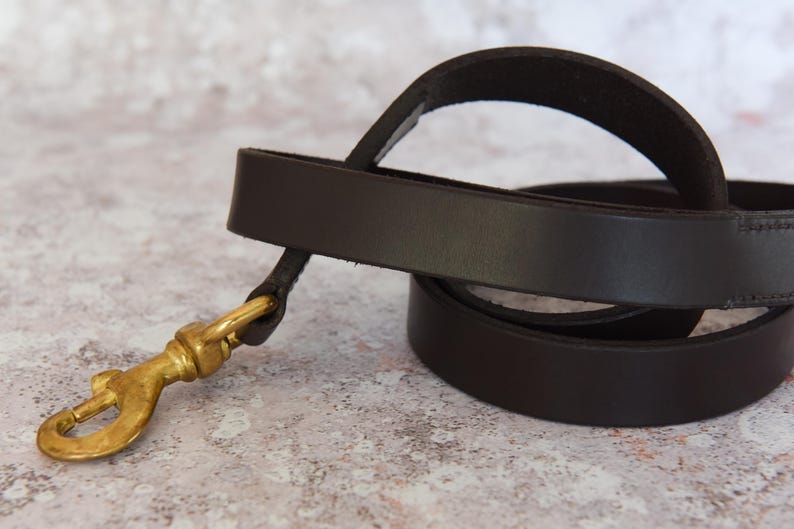 May include: A brown leather dog leash with a brass hook.