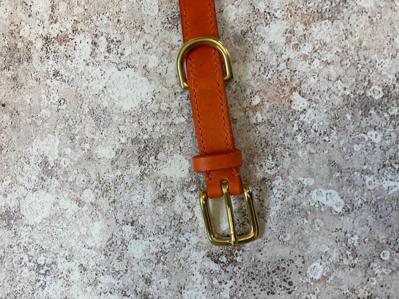 Orange Leather Dog Collar// Custom Leather Dog Collar, Puppy Collar image 4