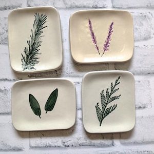 May include: Four small, square ceramic dishes with different botanical designs. Each dish features a single green leaf or sprig, with a white background.