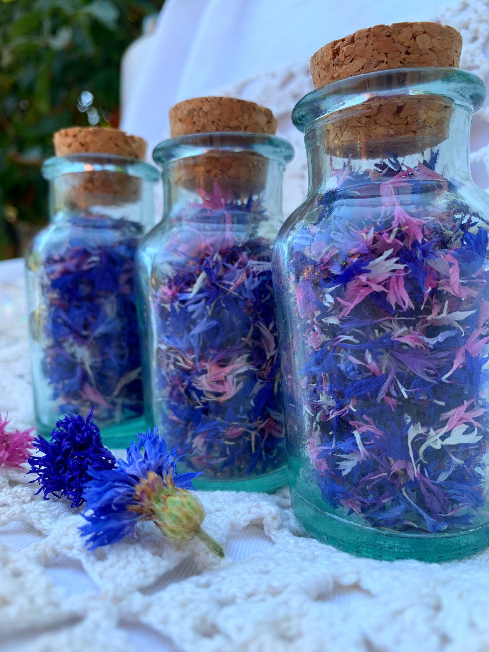 Edible Dried Cornflower Baking Garnish Decorative Organic Etsy