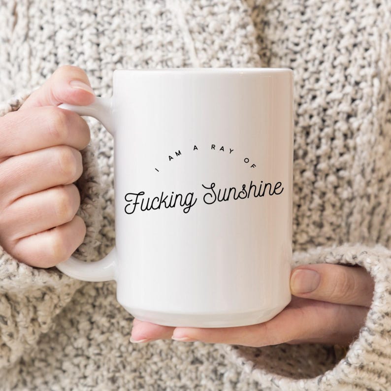 Birthday Gift Ideas: I am a Ray of Fucking Sunshine, Christmas Gift for Best Friend, Sister, Brother, Husband, Wife, Funny Mugs for Women 