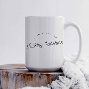 Ideas de regalos de cumpleaños: Soy un rayo de puto sol, regalo de Navidad para mejor amigo, hermana, hermano, esposo, esposa, tazas divertidas para mujeres imagen 3