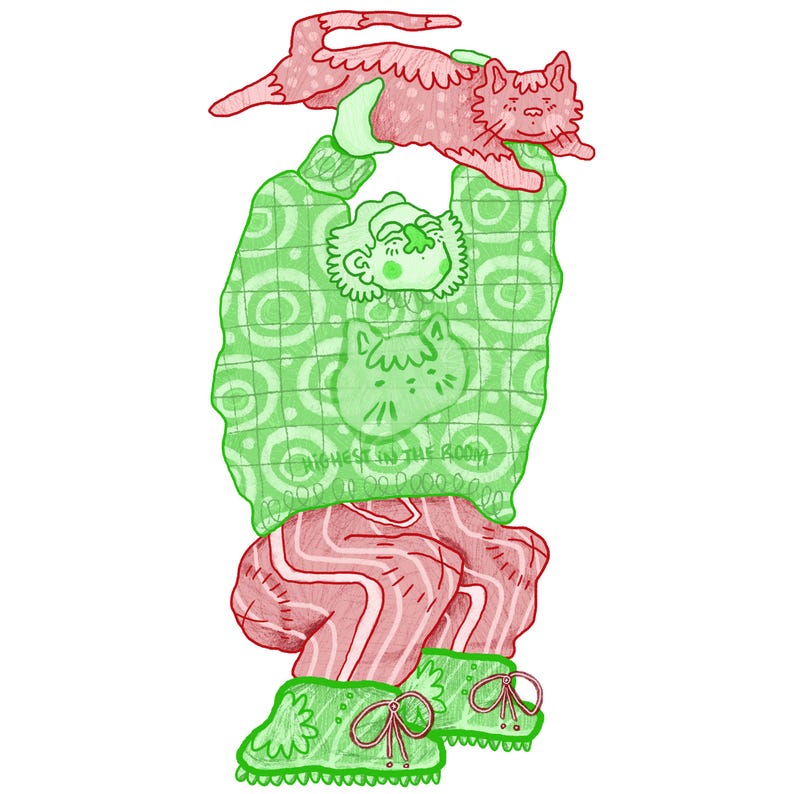Op de afbeelding: Illustratie van een persoon die een kat vasthoudt. De persoon draagt een groene trui met een kattenontwerp en de tekst "HIGHEST IN THE ROOM". De kat en de broek van de persoon zijn rood. De persoon draagt groene schoenen.